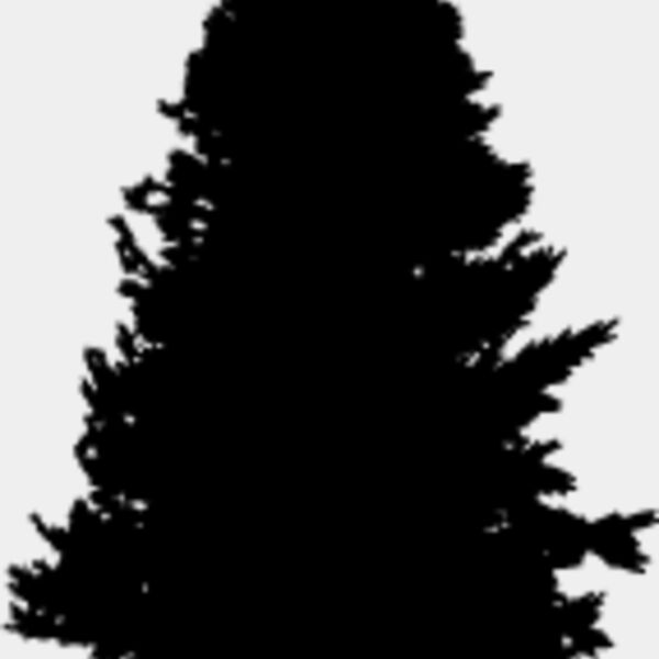 Pine Tree5 Thumbnail