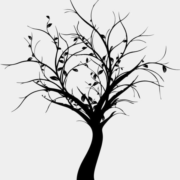 Bare Tree3 Thumbnail