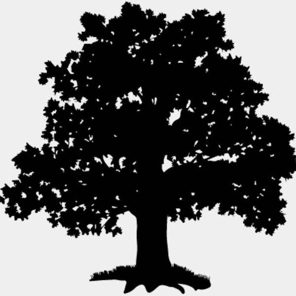 Oak Tree5 Thumbnail