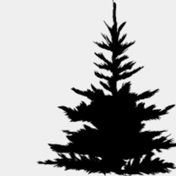 Pine Tree6 Thumbnail