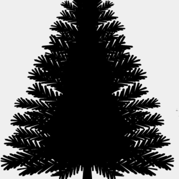 Pine Tree7 Thumbnail