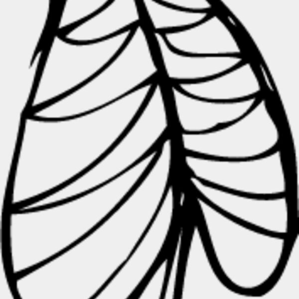 Leaf Line5 Thumbnail