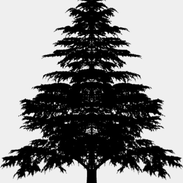 Pine Tree13 Thumbnail