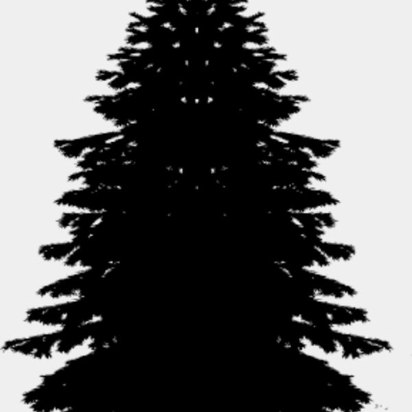 Pine Tree11 Thumbnail