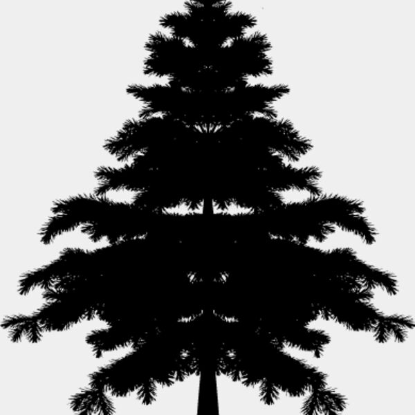 Pine Tree12 Thumbnail