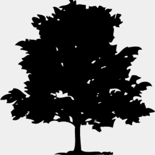 Trees Silhouette4 Thumbnail