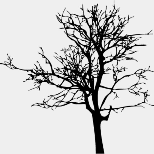 Bare Tree6 Thumbnail