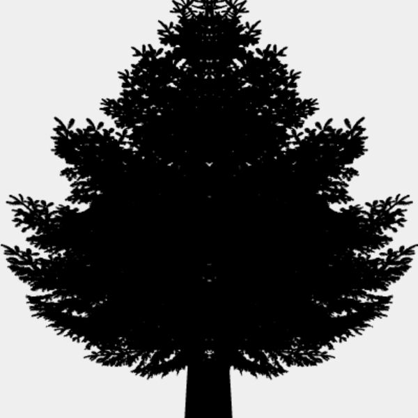 Pine Tree8 Thumbnail