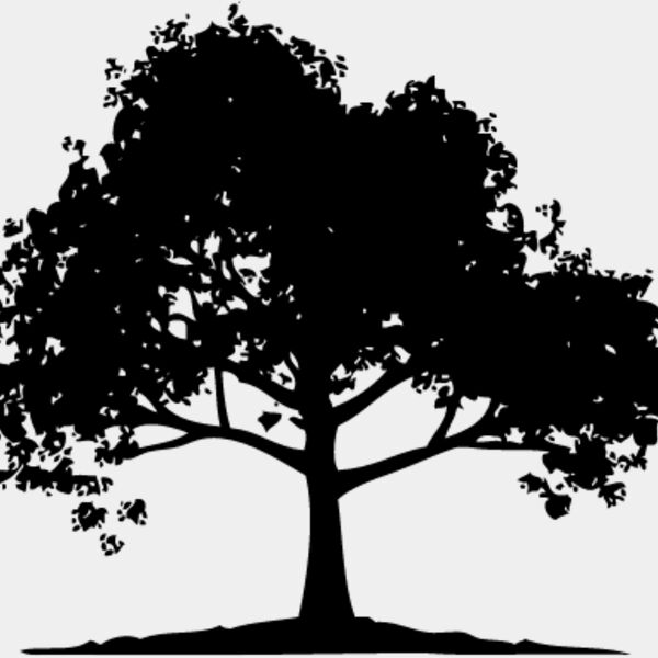 Trees Silhouette1 Thumbnail