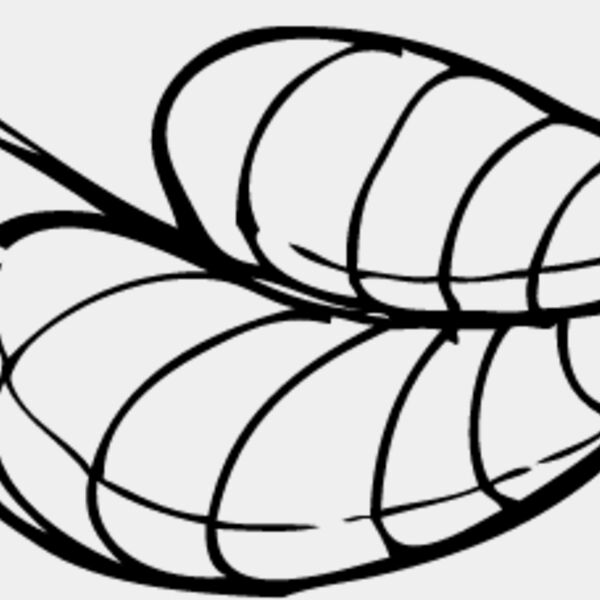 Leaf Line4 Thumbnail