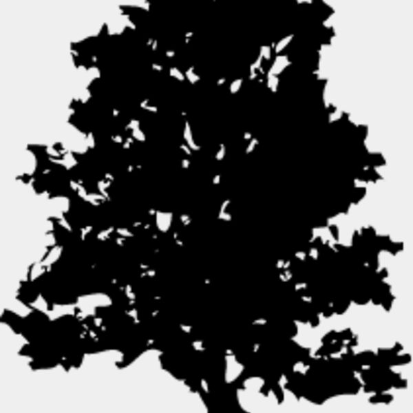 Trees Silhouette2 Thumbnail