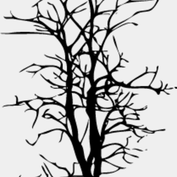 Bare Tree4 Thumbnail