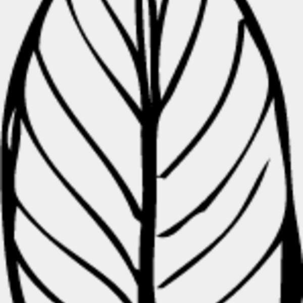 Leaf Line2 Thumbnail