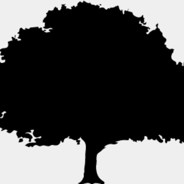 Oak Tree1 Thumbnail