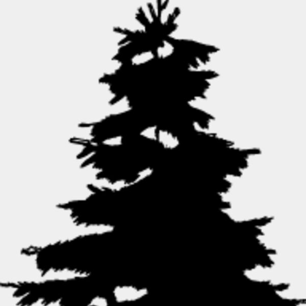 Pine Tree2 Thumbnail