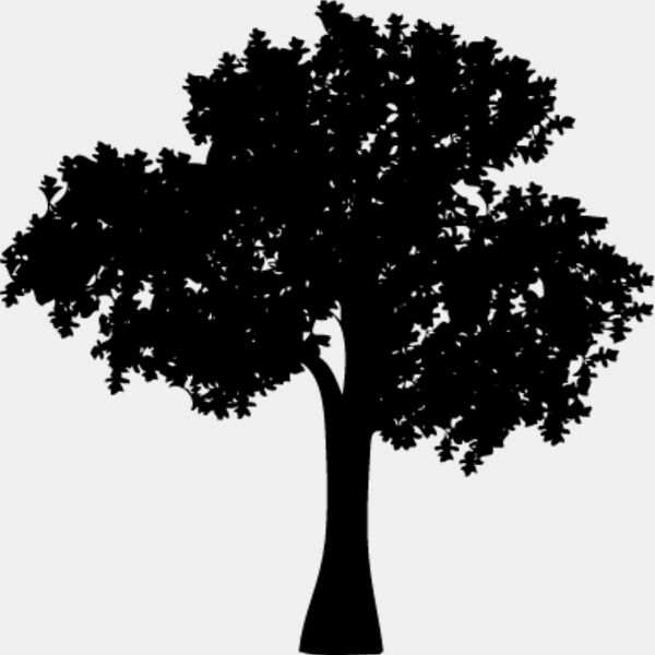 Trees Silhouette5 Thumbnail