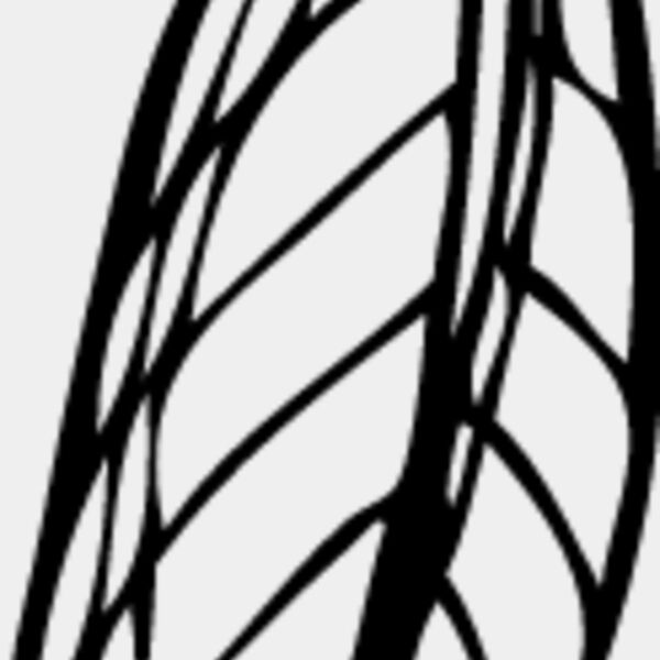 Leaf Line10 Thumbnail