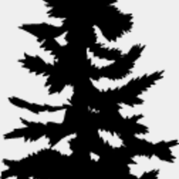 Pine Tree3 Thumbnail