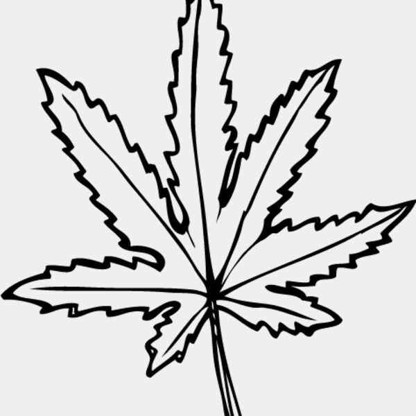 Leaf Line1 Thumbnail