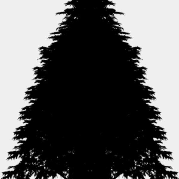 Pine Tree14 Thumbnail