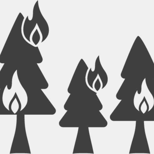 Forest Fire1 Thumbnail