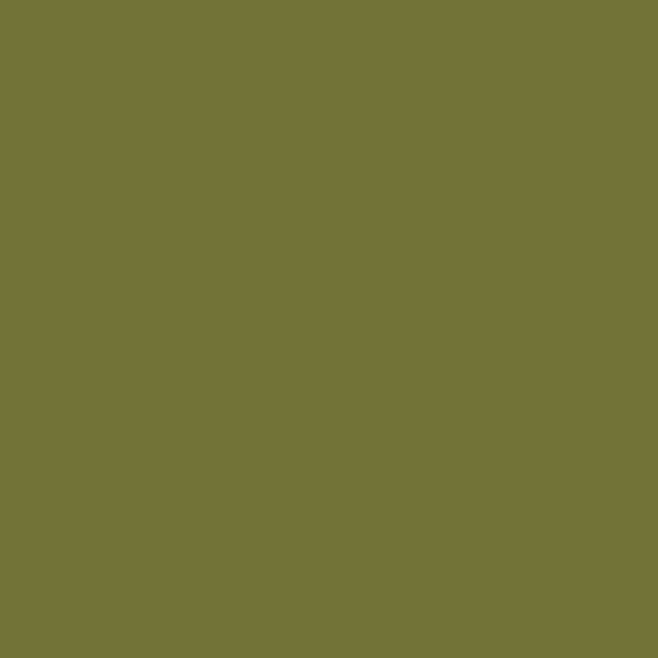 Military Green - PMS 7749C (1969) Thumbnail