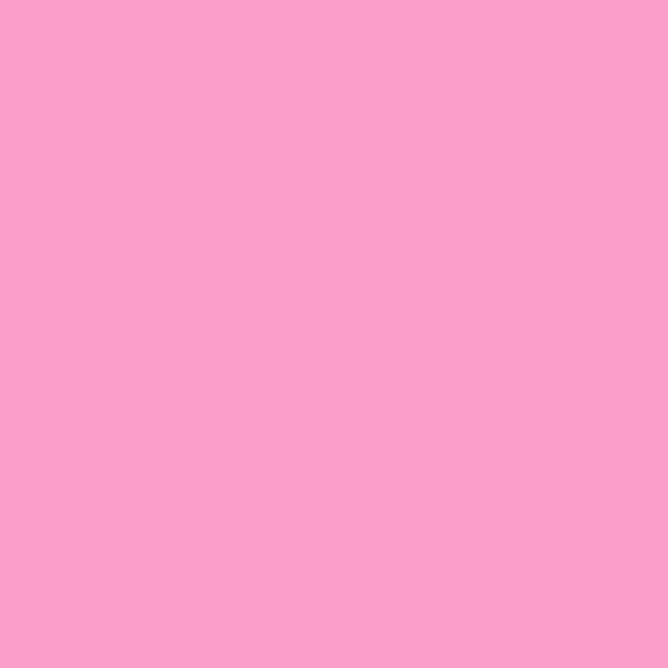 Light Pink - PMS 210C (1548) Thumbnail