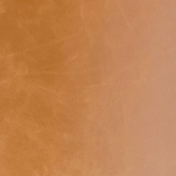 Buckskin   Heritage Thumbnail