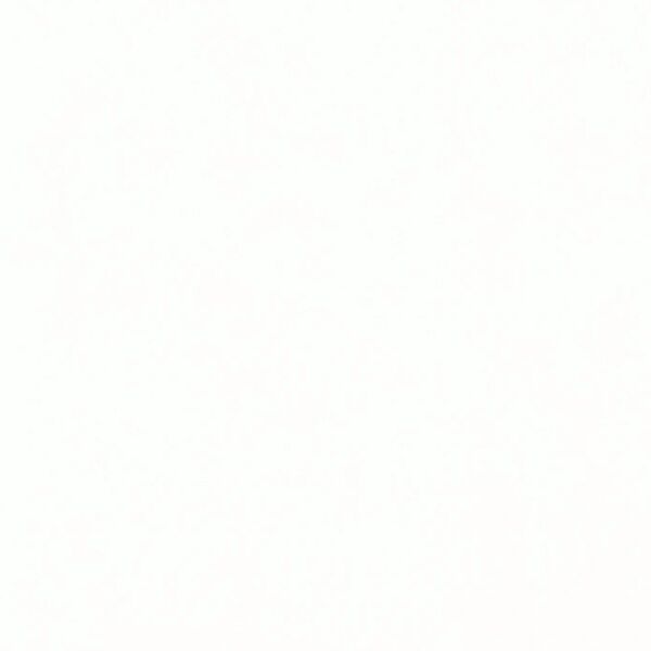 Glossy White Thumbnail
