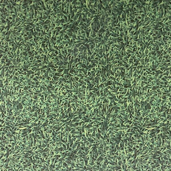 Turf Thumbnail