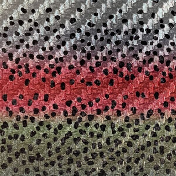 Rainbow Trout Thumbnail