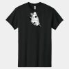Heavy Cotton ™ 100% Cotton T Shirt Thumbnail