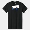 Heavy Cotton ™ 100% Cotton T Shirt Thumbnail