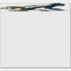 Elite Match 12 x 11 DTF Heat Transfer Thumbnail