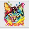 Elite Match 12 x 11 DTF Heat Transfer Thumbnail
