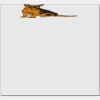 Elite Match 12 x 11 DTF Heat Transfer Thumbnail