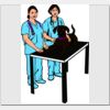 Elite Match 12 x 11 DTF Heat Transfer Thumbnail