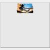 Elite Match 12 x 11 DTF Heat Transfer Thumbnail