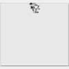 Elite Match 12 x 11 DTF Heat Transfer Thumbnail
