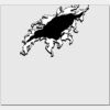 Elite Match 12 x 11 DTF Heat Transfer Thumbnail