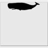 Elite Match 12 x 11 DTF Heat Transfer Thumbnail