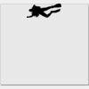 Elite Match 12 x 11 DTF Heat Transfer Thumbnail