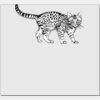 Elite Match 12 x 11 DTF Heat Transfer Thumbnail