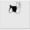 Elite Match 12 x 11 DTF Heat Transfer Thumbnail
