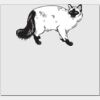 Elite Match 12 x 11 DTF Heat Transfer Thumbnail