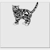 Elite Match 12 x 11 DTF Heat Transfer Thumbnail