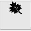 Elite Match 12 x 11 DTF Heat Transfer Thumbnail