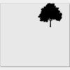Elite Match 12 x 11 DTF Heat Transfer Thumbnail
