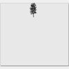 Elite Match 12 x 11 DTF Heat Transfer Thumbnail