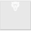 Elite Match 12 x 11 DTF Heat Transfer Thumbnail